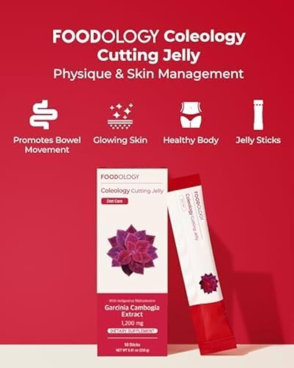FOODOLOGY Coleology Cutting Jelly