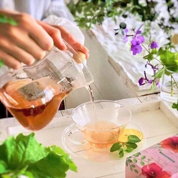 ORIHIRO Herbal Tea Trio